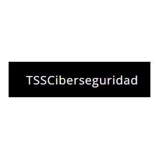TSS Ciberseguridad